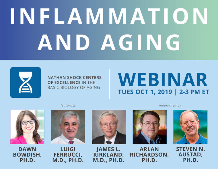 Oct1_NSC_InflammationWebinar_GraphicTall.jpg