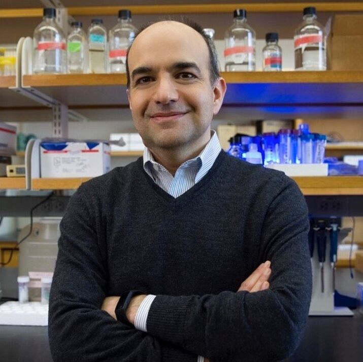 Sina Ghaemmaghami, PhD