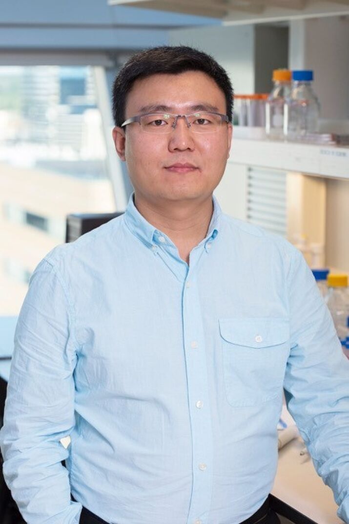 Hongbo Liu, PhD